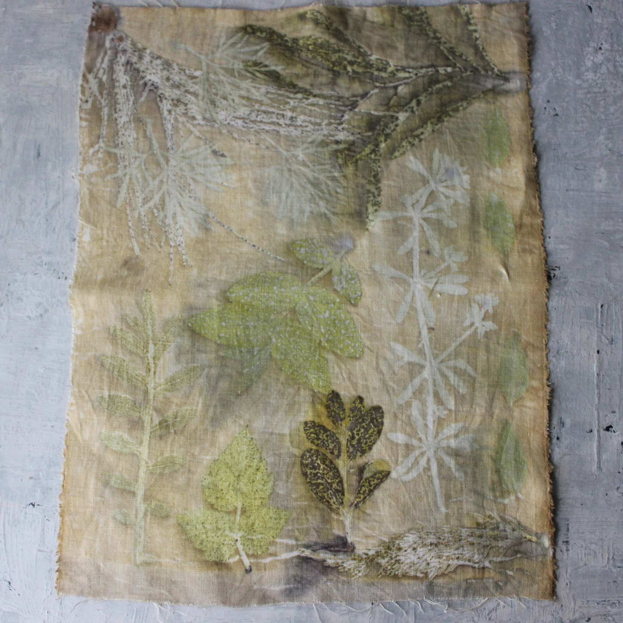 Botanical Eco Print Linen Panel Placemats